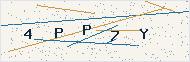 Security code image