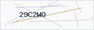 Security code image